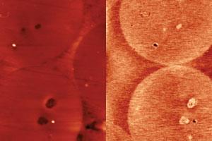 SThM - Scanning Thermal Microscopy