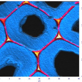 Raman images of Lignin