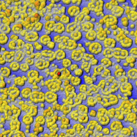 Mimosa formation of Mg2Si on Si(111)