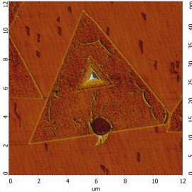 WS2 Monolayers Grown on Epitaxial Graphene