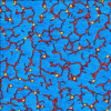 09_nanographene_raculagavrila