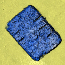 Perovskite nanosheets (CsPbBr3)