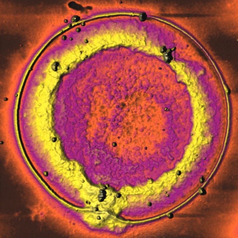 sio2-sno2_nanocomposites_10x10um_2