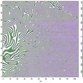 Ferroelectric Domains in ErMnO3