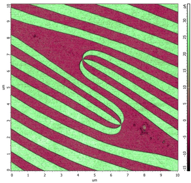 ferroelectric_domains_in_dyrmno3_2l