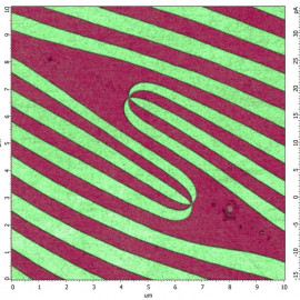 Ferroelectric Domains in DyMnO3