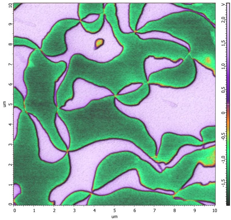 ferroelectric_domains_in_yrmno3_2l