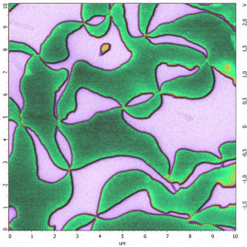 Ferroelectric Domains in YrMnO3