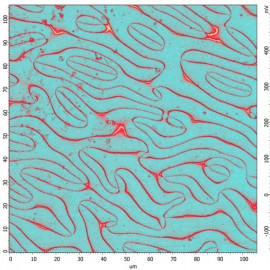 Ferroelectric Domains in ErMnO3