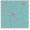 ferroelectric_domains_in_ermno3_2d