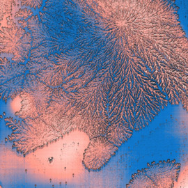 LL dipeptide on mica