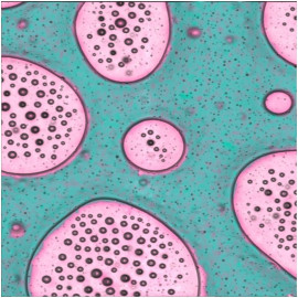 PS-PVAC AFM-Raman maps on Therma