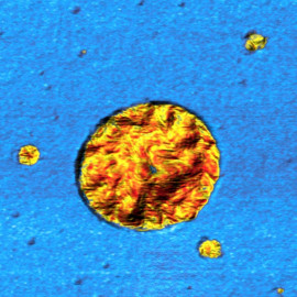 Young's modulus of PS-HDPE