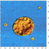 topo-modulusoverlay_2x2um_scales