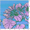 pvdf_pmma_30um_scales