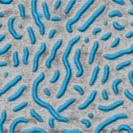 Molecular brushes in FM AFM