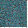 molbrushesamafm_3um_scales