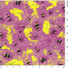 bitumen10umscales