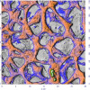 topography2l