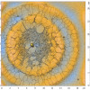 erb2_scales