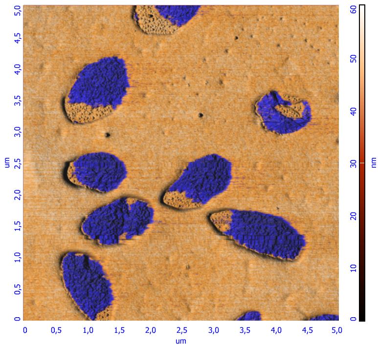 sps-pvdf_topo-kelvinoverlay-2