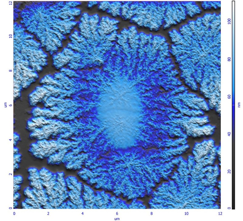 pvac_pvdf_topo_2l_2