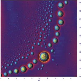 PS-LDPE (AM-AFM)