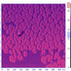 fluoroalcanes_phase