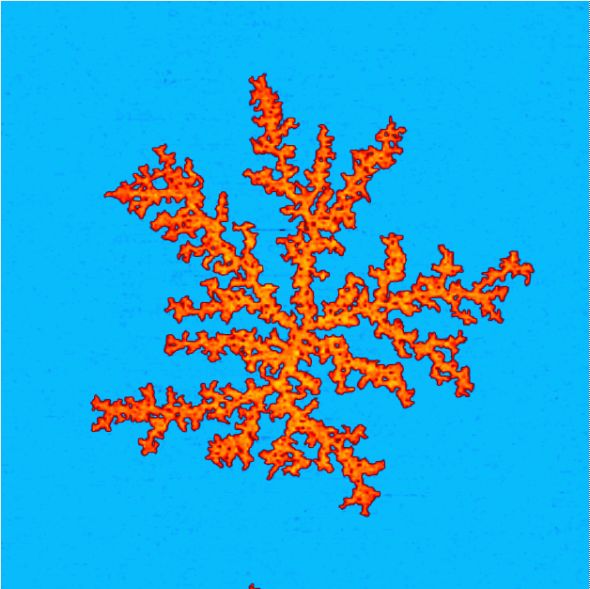 07_dendrite_shukuov_1