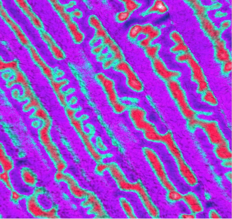 mfm_ov_5x5