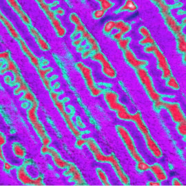 Epitaxial MnAs film on GaAs(001)