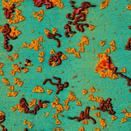 DNA Origami in liquid