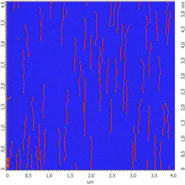 Avi-pG-pC on Mica (DNA)