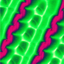 Magnetic domains of Yttrium Iron Garnet