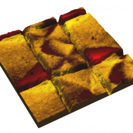 Magnetic structures of permalloy