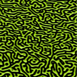 Magnetic domains in a TbGdFeCo film