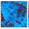 the-dodecylamine-lamellae-on-hopg