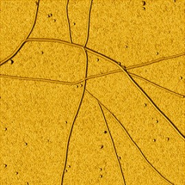 Nanotubes
