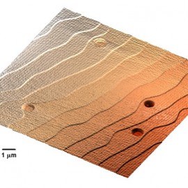 Bilayer steps on the SrTiO3 surface