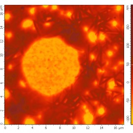 The height image of ferroelectric surface