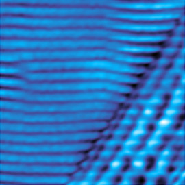 Self organized structure on the CdHgTe