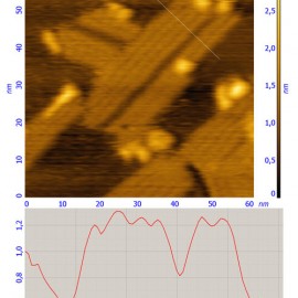 Two-dimensional dodecylamine crystal