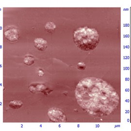 Polymer with embedded nanoparticles