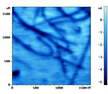 efm_image_of_carbone_nanotubes