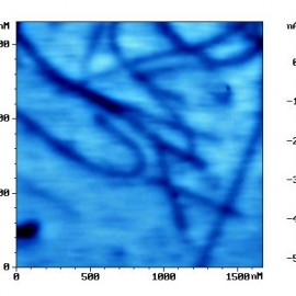The EFM image of carbon nanotubes