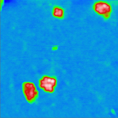 ferritin-clusters_1