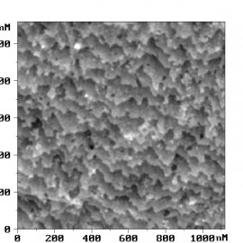 Atomic steps on SrTiO[3]