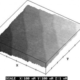 Atomic steps on Si