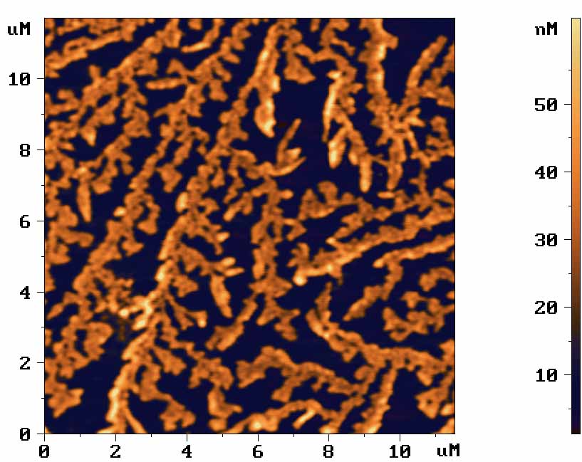 porphyrin_11x11_