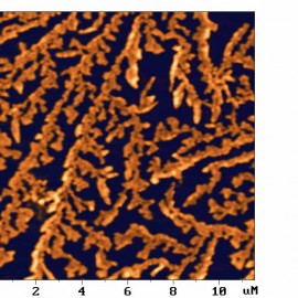 Porphyrin